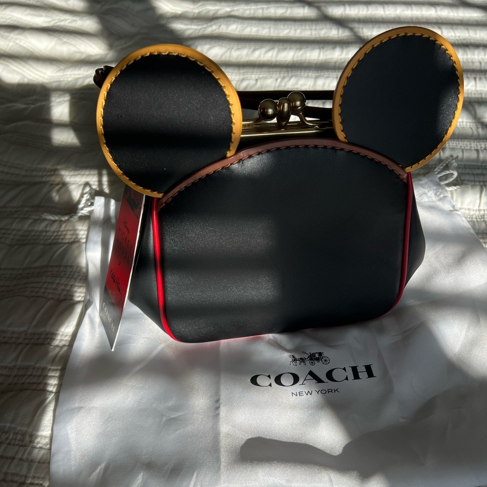 Coach Mickey Mouse Keith haring bag